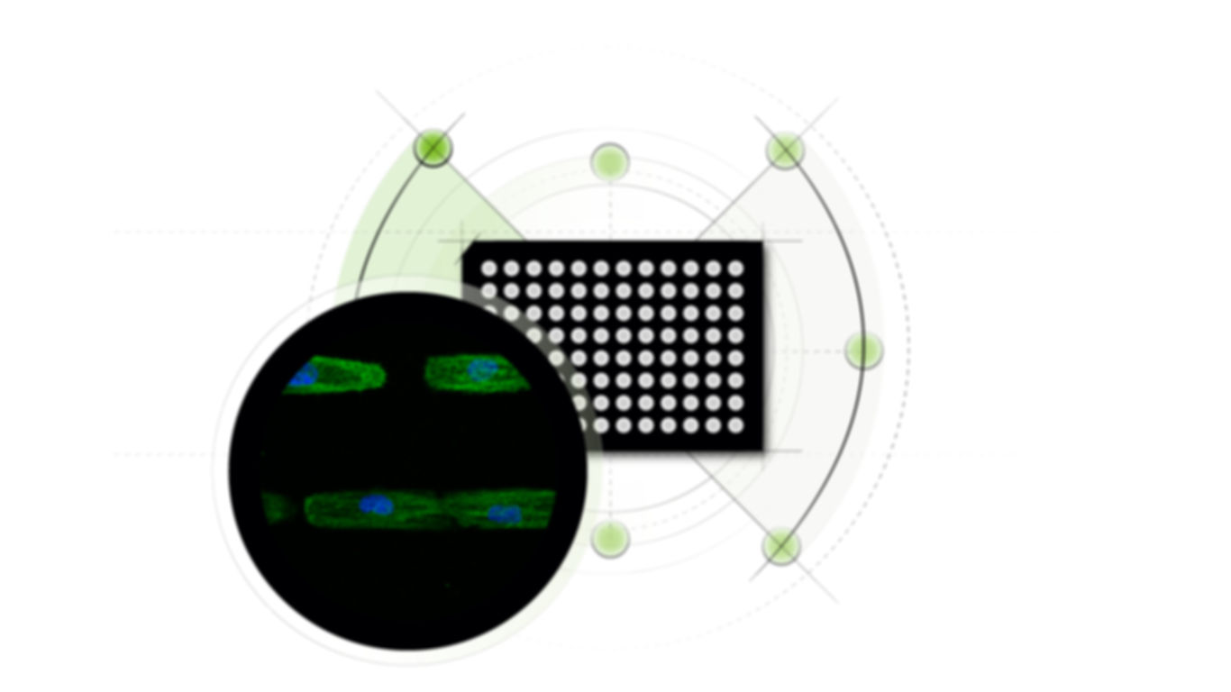 Background-hightech-SP.jpg