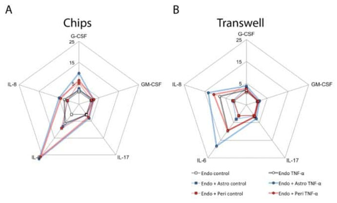 Comparison between chips and transwell