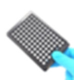 Micropatterned Multiwell Plate