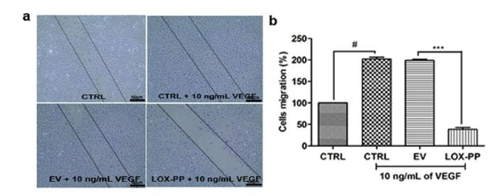 WH_review_Figure3