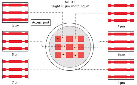 microchannels features_constrictions mc011 ex.