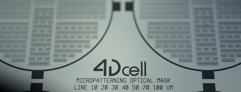 Zoomed 4Dcell Quartz photomask for micropatterning