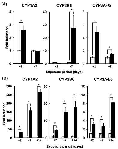 CYP-activities-in-2D-and-in-3D