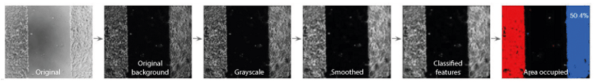 Sequence of modules used in the CellProfiler pipeline for measuring the area occupied by cells on the image
