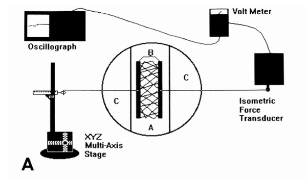 Figure 2. A schematic representation of the isometric force monitoring apparatus. Kolodney et al. (1992)