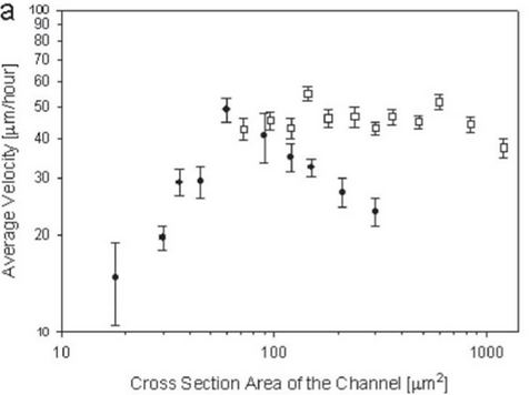 Cross section area of the channel