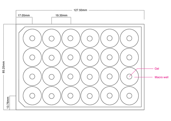 Structure and dimensions of the 24 well plate