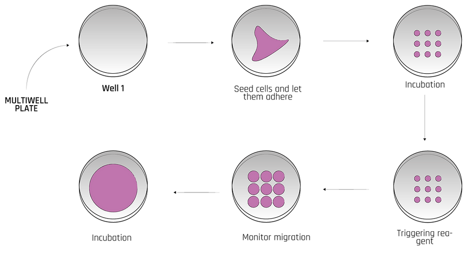 Dynamic micropatterns action principle