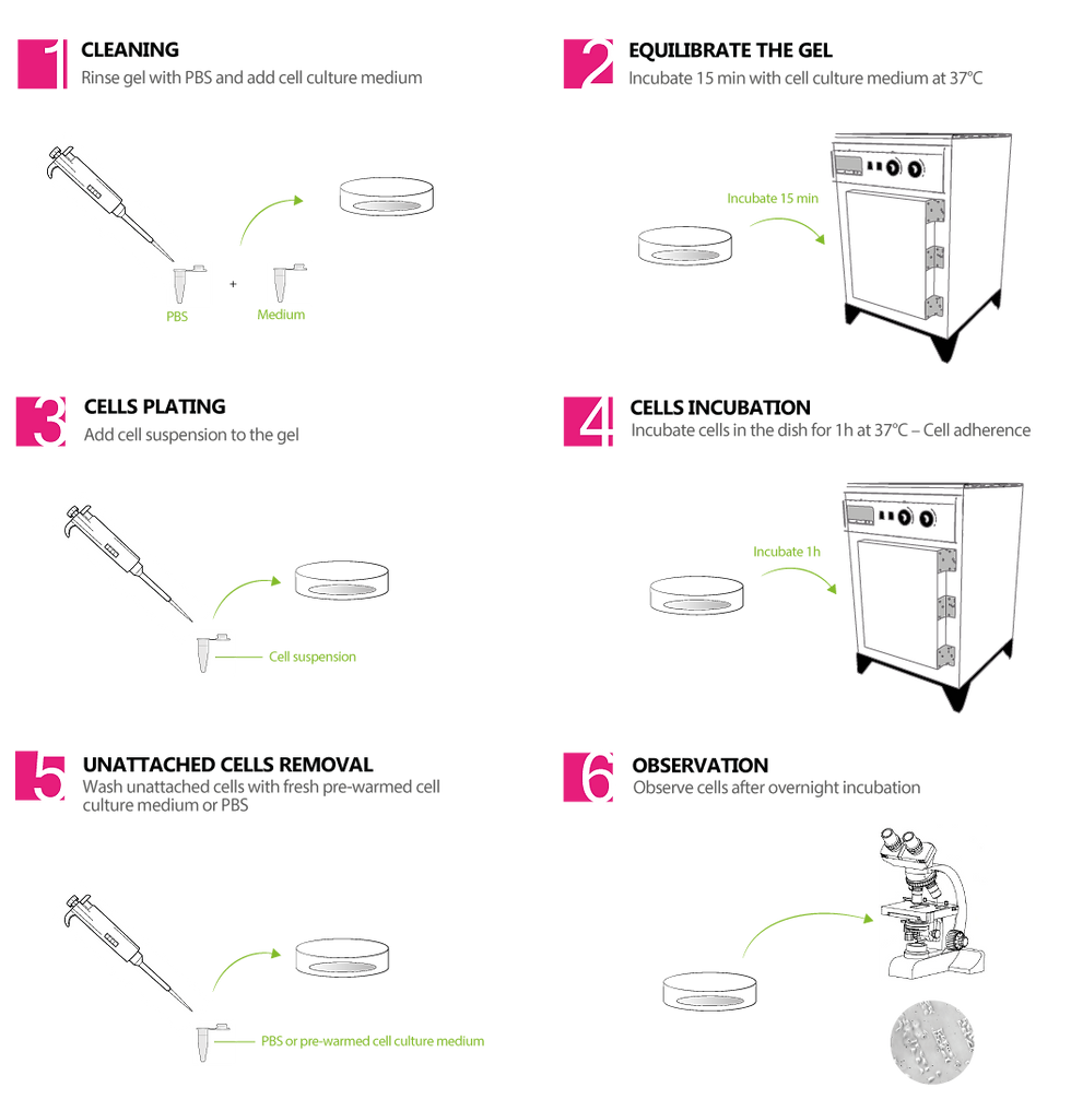Gels-protocol