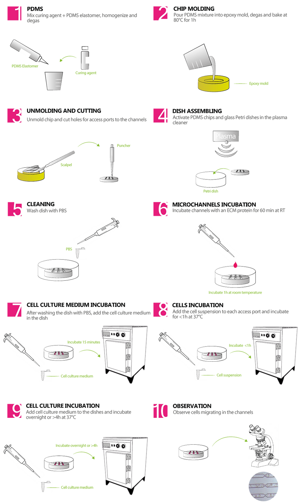 Microchannels fabrication kit protocol