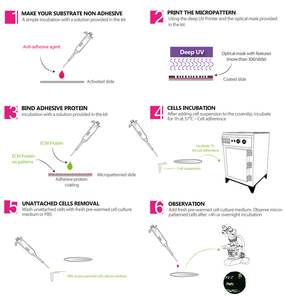 Micropattern-fabrication-protocol
