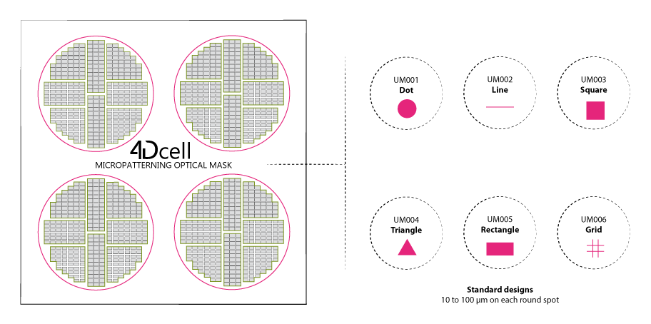 Standard positionning of micropattern areas on the photomask