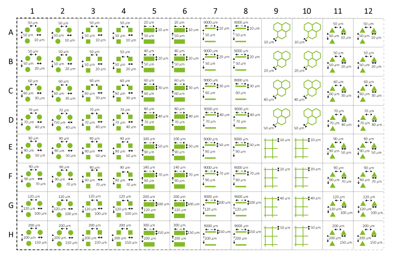 Micropatterns-MWP-map