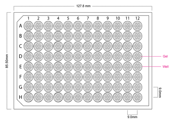 Structure and dimensions of the 96 well SmartSPhero plate