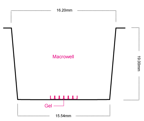 Macrowell dimensions of the 24 well SmartSPhero plate