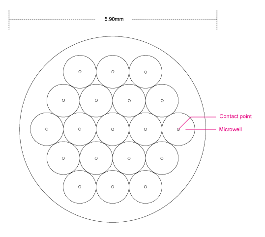 Structure and dimensions of the microwells (in a 96 well plate)