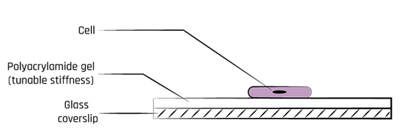 SmartGels-scheme